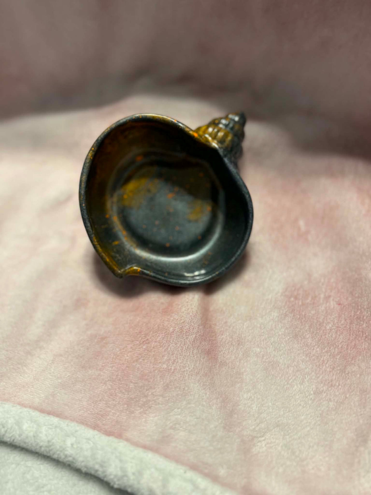 Halloween Conch Seashell Trinket Bowl