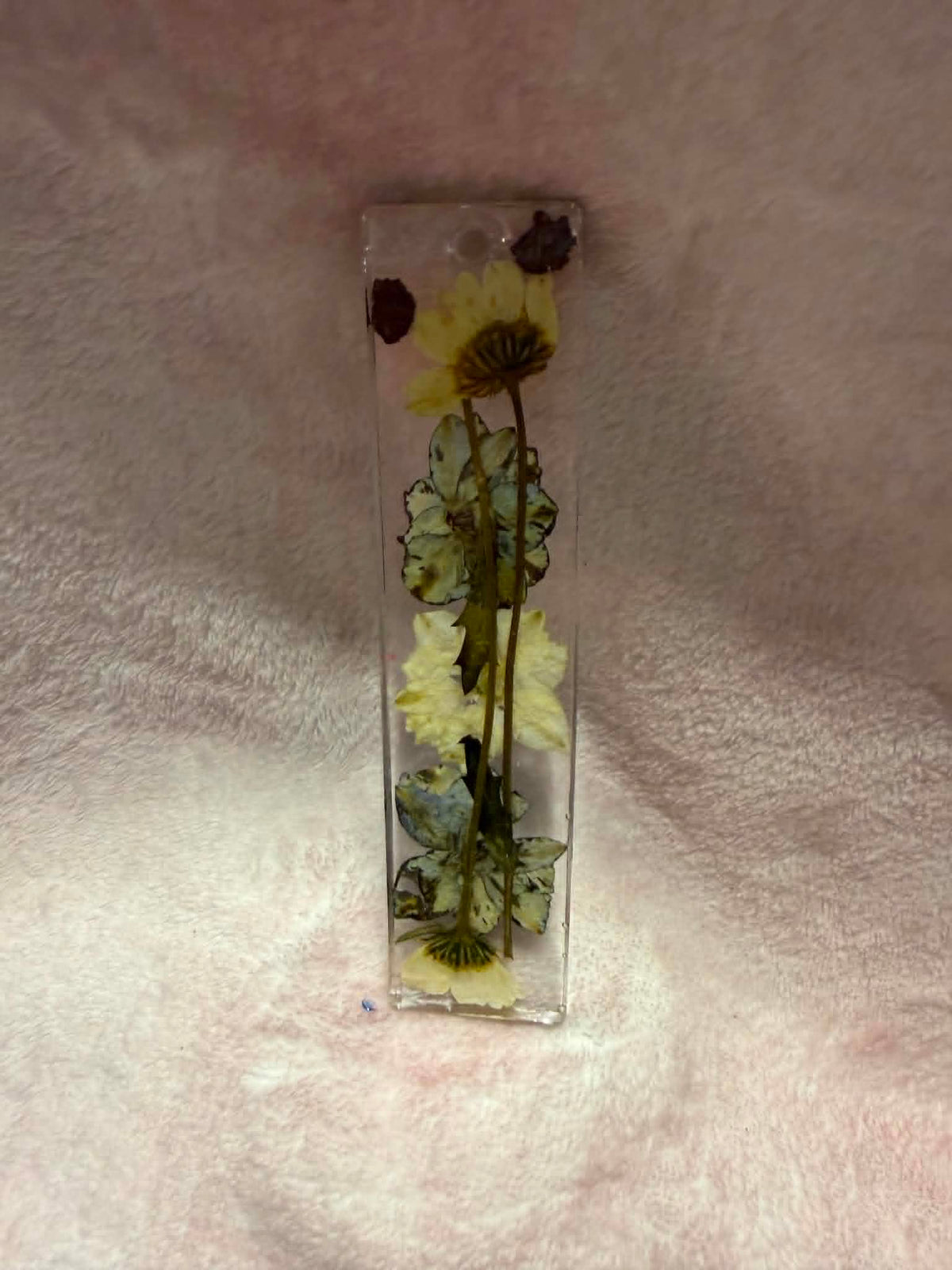 🌼 Daisy & Fern Pressed-Flower Bookmarks, Set of 2