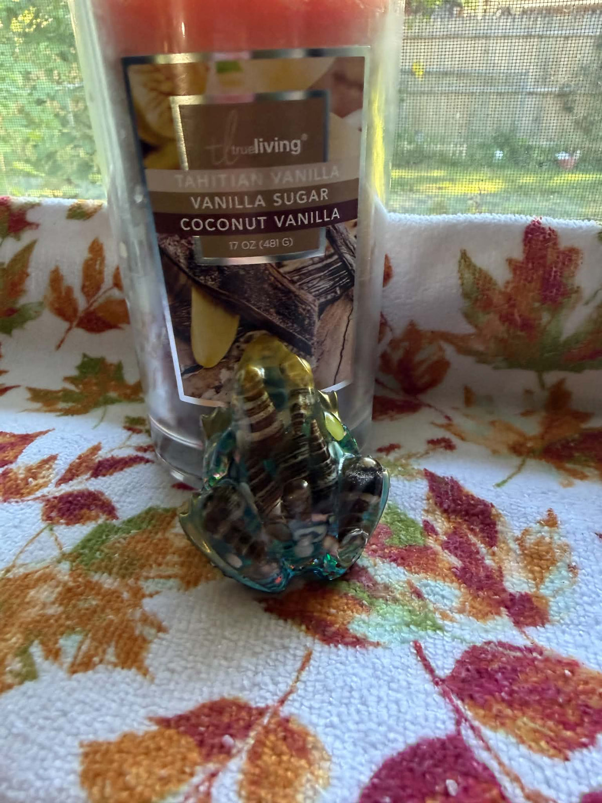 Small Frog Figurine with Seashells & Shell Fragments