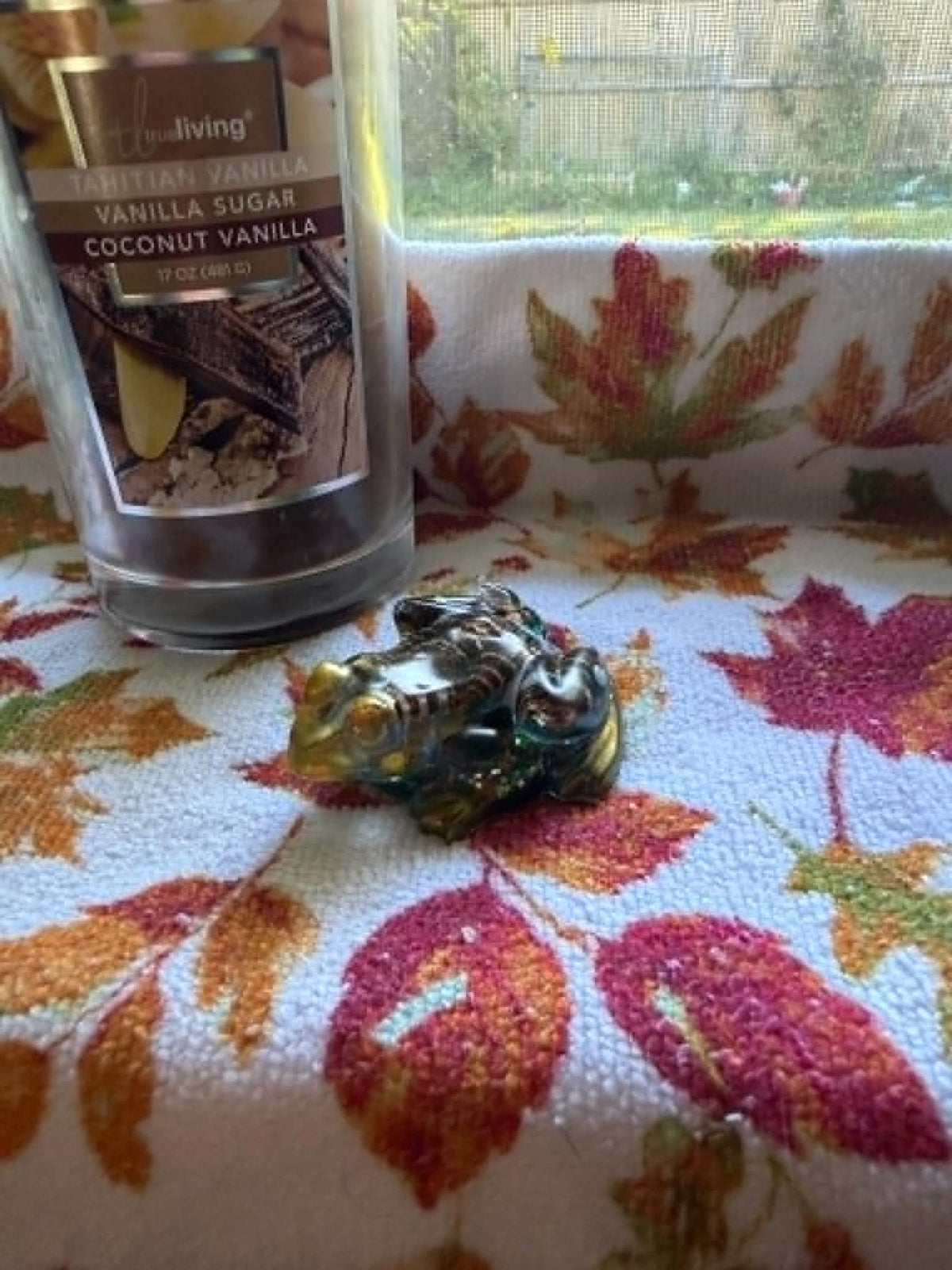 Small Frog Figurine with Seashells & Shell Fragments